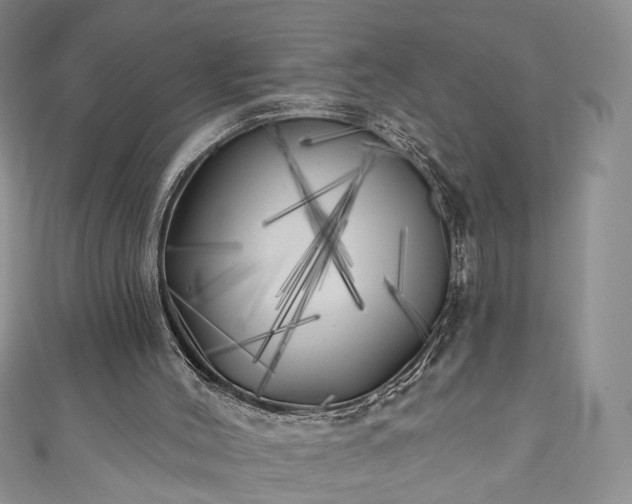 X0000111000004200906261508