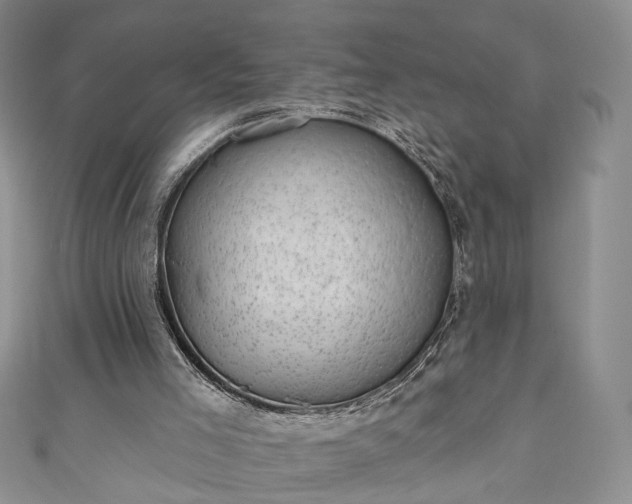 X0000111000005200906261508