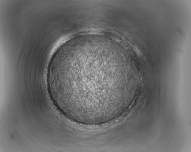 X0000111000006200906261508