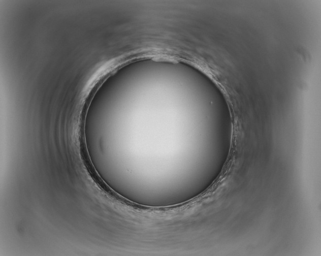 X0000111000007200906261508