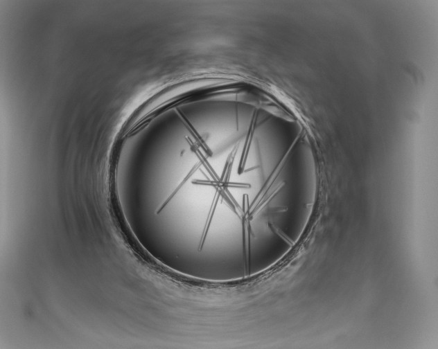 X0000111000008200906261508