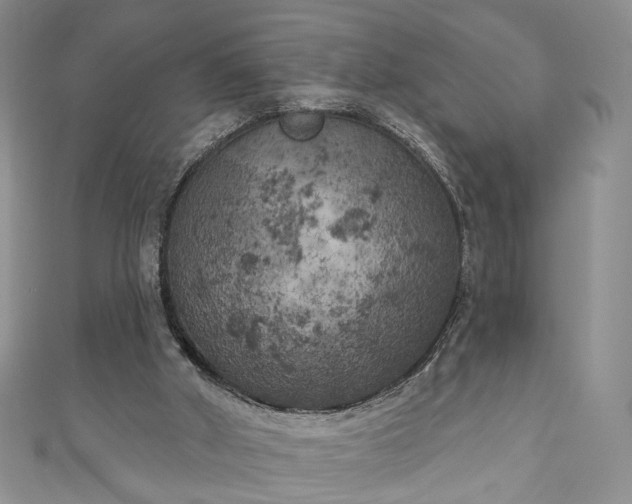 X0000111000010200906261508