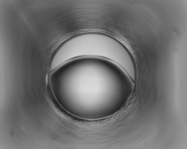 X0000111000013200906261508