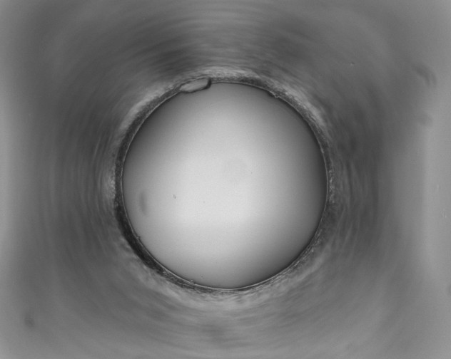 X0000111000015200906261508