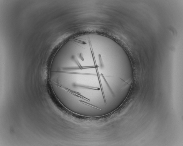 X0000111000016200906261508