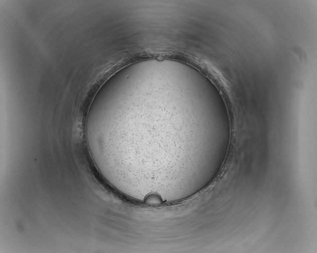 X0000111000017200906261508