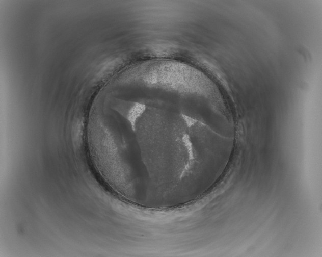 X0000111000018200906261508