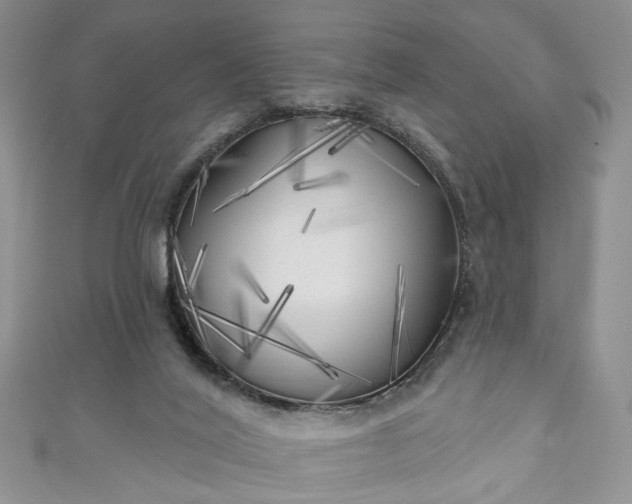 X0000111000020200906261508