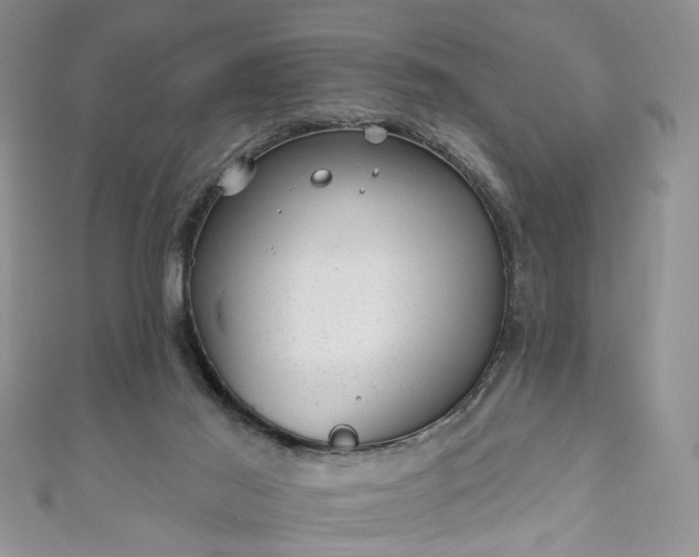 X0000111000021200906261508