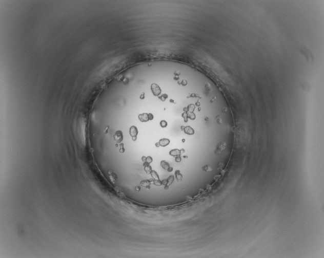 X0000111000022200906261508