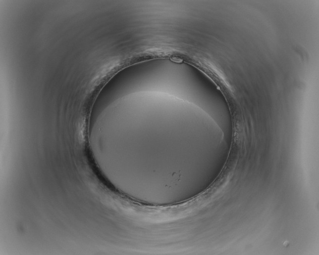 X0000111000023200906261508