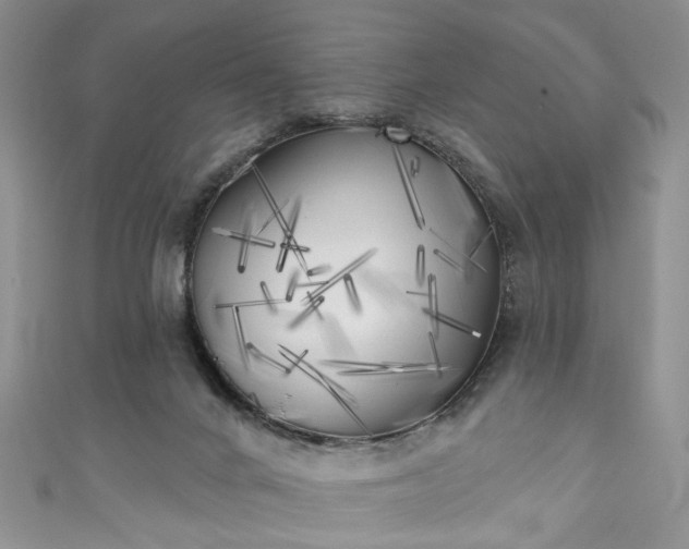 X0000111000024200906261508