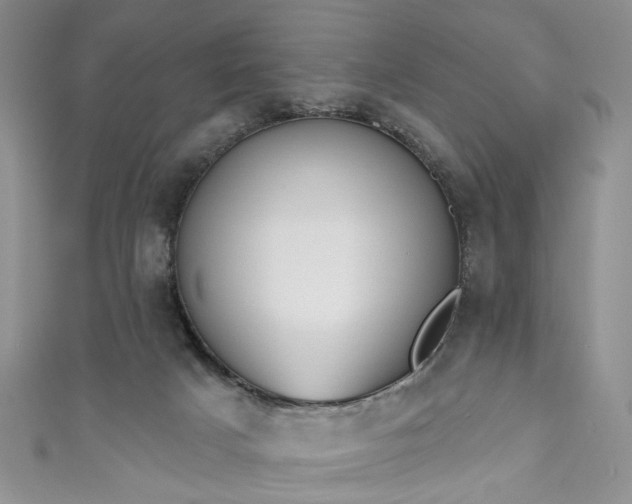 X0000111000025200906261508