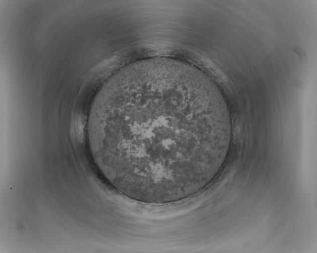 X0000111000026200906261508