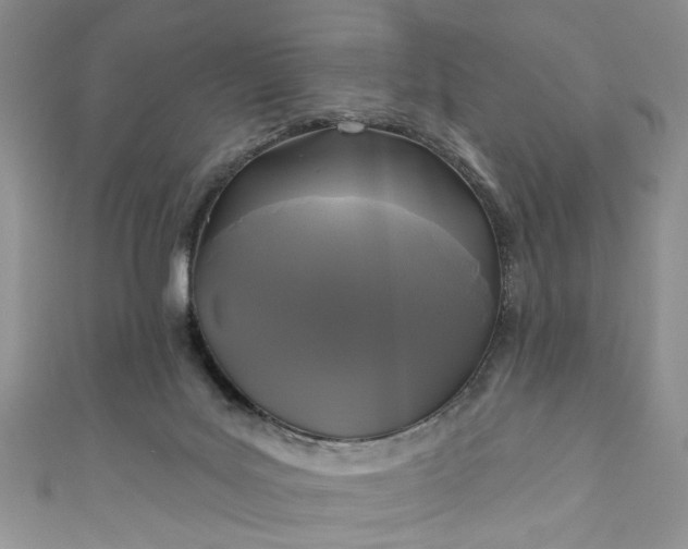 X0000111000027200906261508