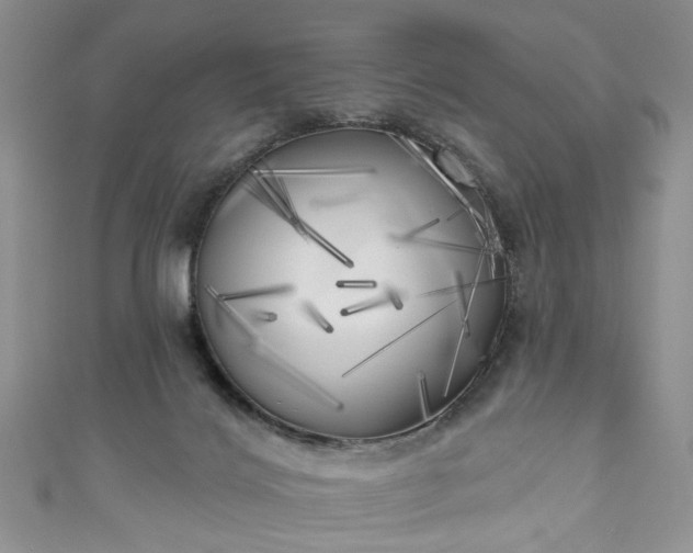 X0000111000028200906261508