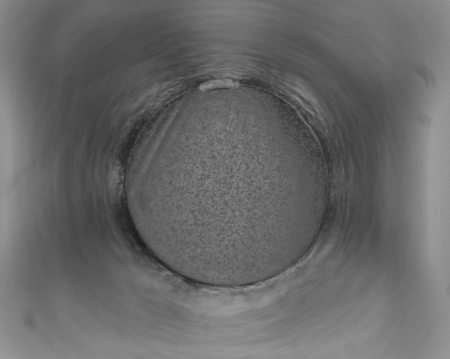 X0000111000029200906261508