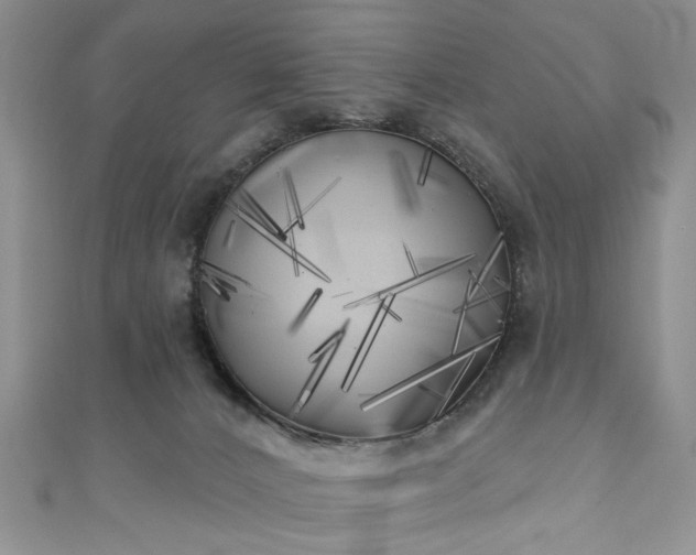 X0000111000032200906261508