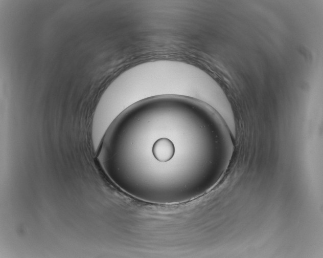 X0000111000033200906261508