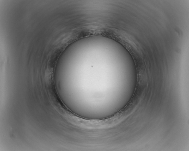 X0000111000034200906261508