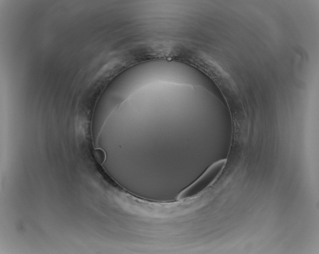 X0000111000035200906261508