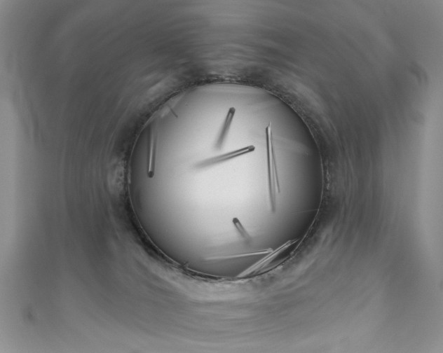 X0000111000036200906261508