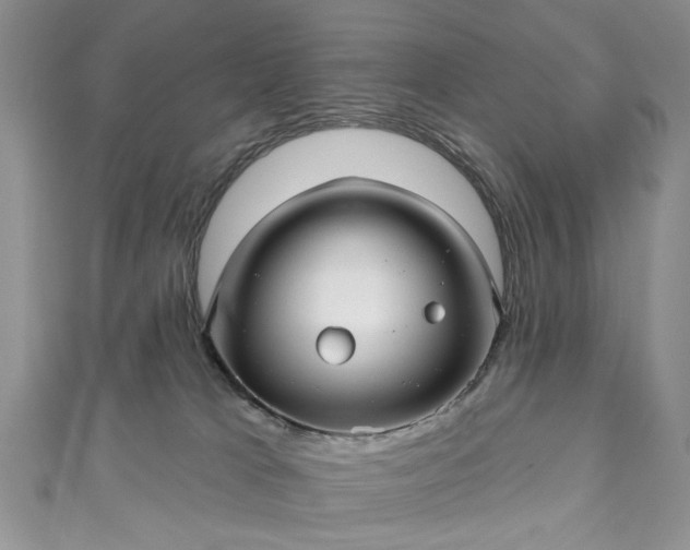 X0000111000037200906261508