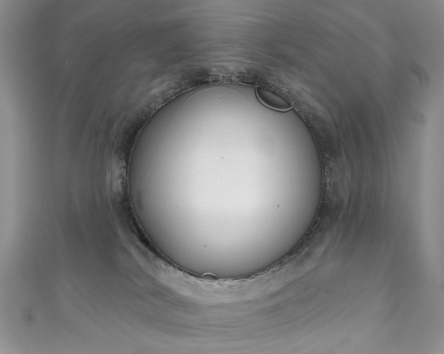 X0000111000038200906261508