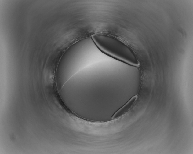 X0000111000039200906261508