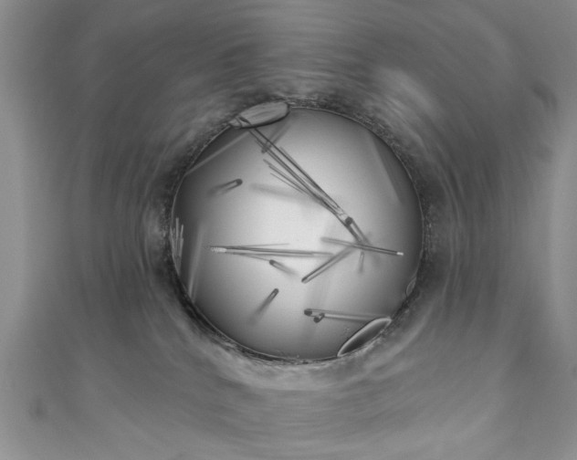 X0000111000040200906261508