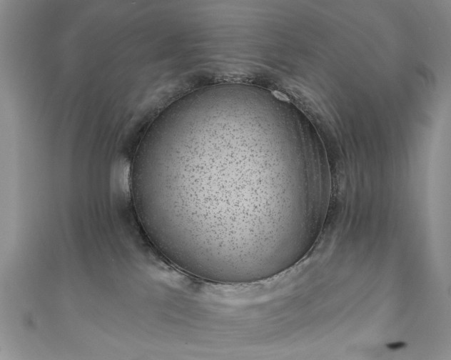 X0000111000041200906261508