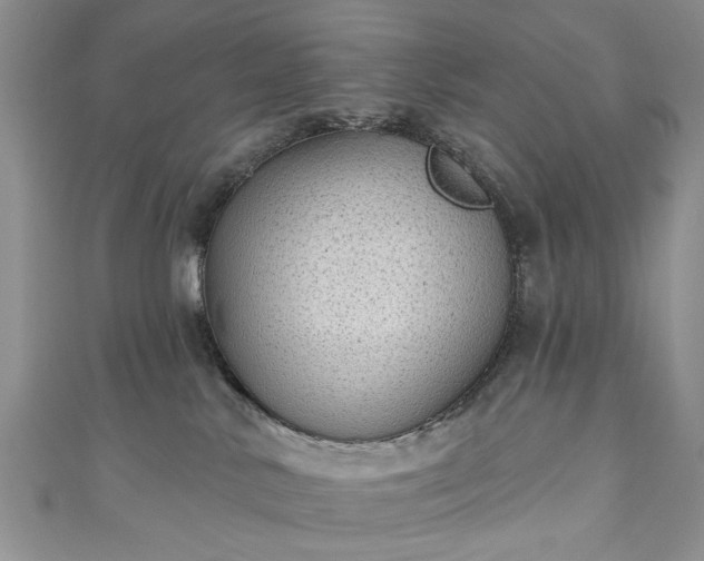 X0000111000042200906261508