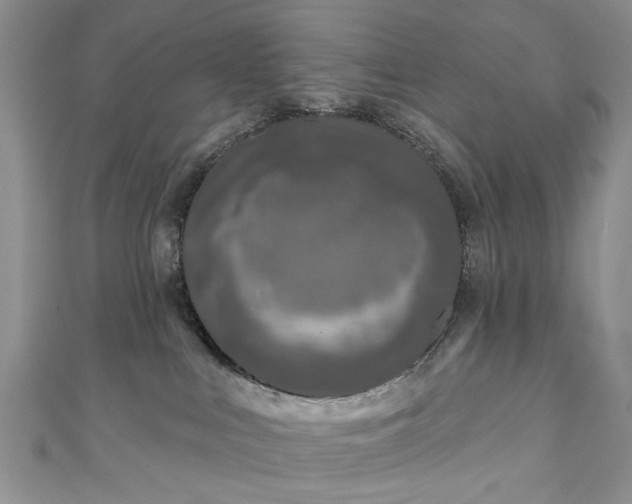 X0000111000043200906261508