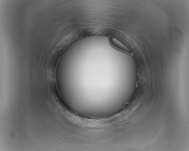 X0000111000044200906261508