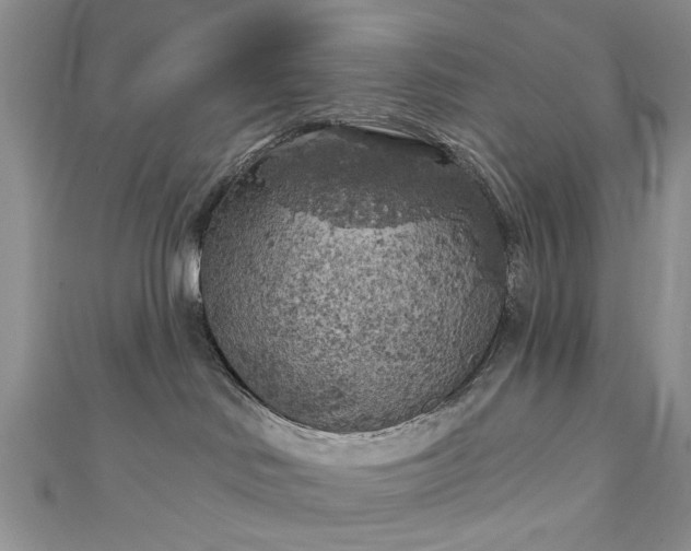 X0000111000046200906261508