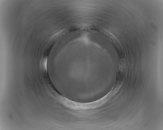 X0000111000047200906261508