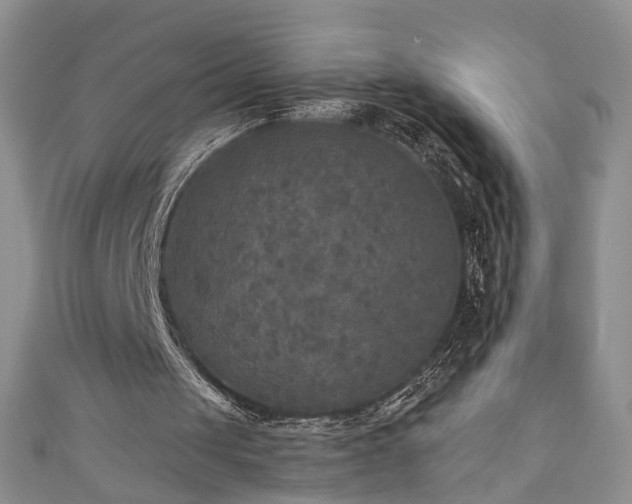 X0000111000049200906261507