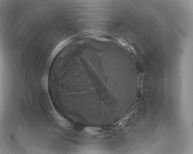 X0000111000051200906261507