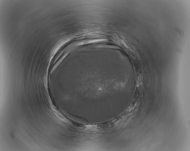 X0000111000052200906261507