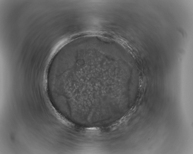 X0000111000053200906261507