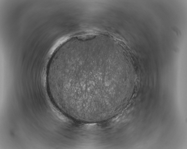 X0000111000054200906261507