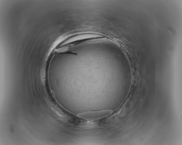 X0000111000056200906261507