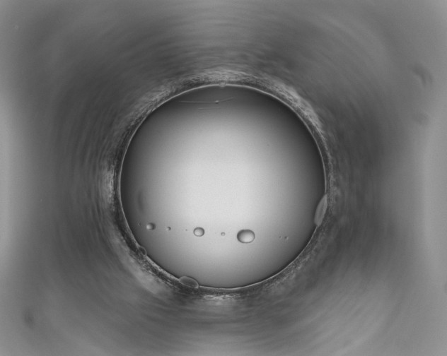 X0000111000057200906261507