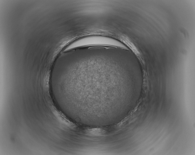 X0000111000058200906261507