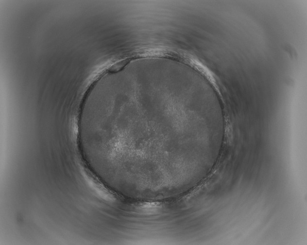 X0000111000059200906261507