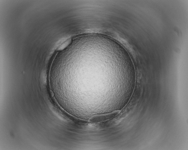 X0000111000060200906261507