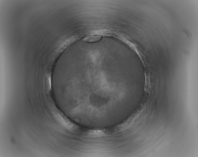 X0000111000061200906261507