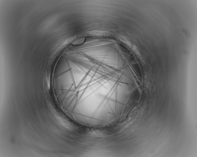 X0000111000062200906261507