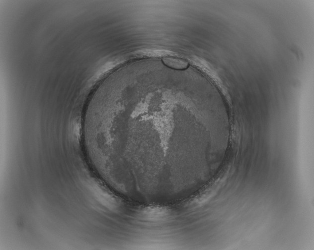 X0000111000063200906261507