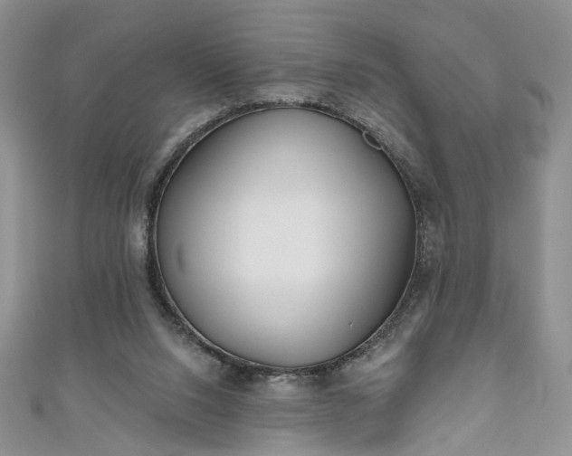 X0000111000064200906261507